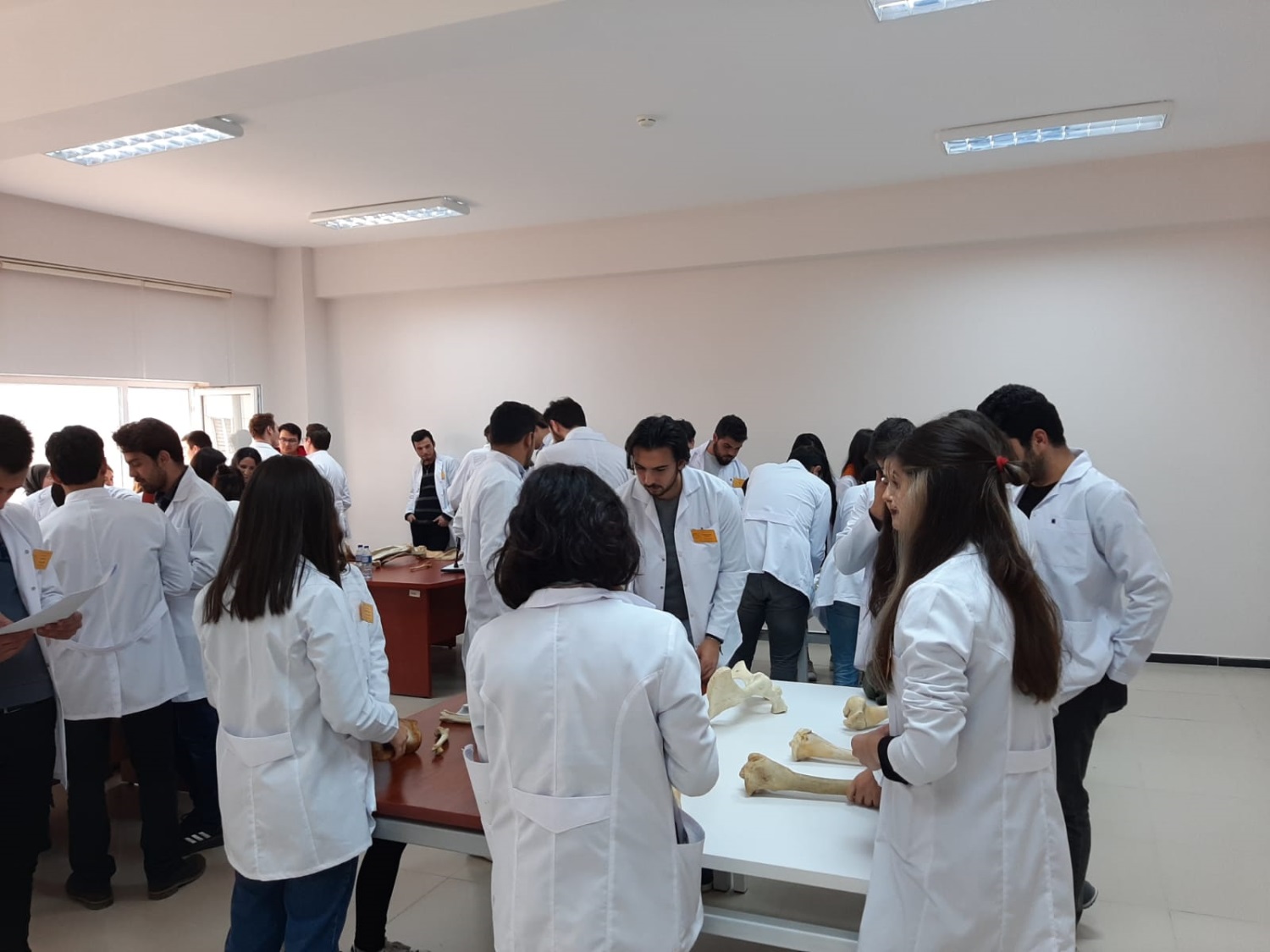 Ybu Veteriner Fakultesi 1 Sinif Anatomi Dersi